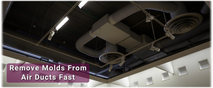 Air Duct Mold Removal in Humble
