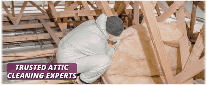 Attic Cleaning Humble