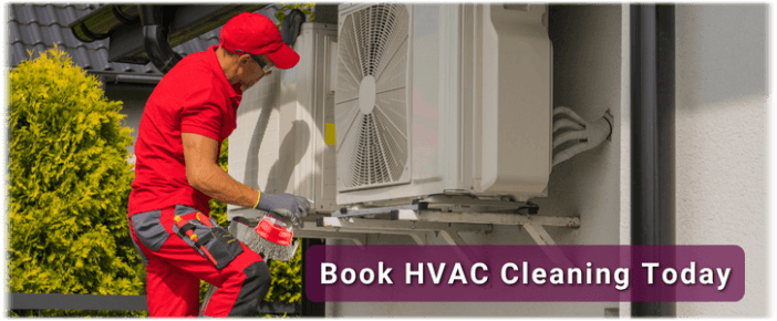 HVAC Mold Removal Humble